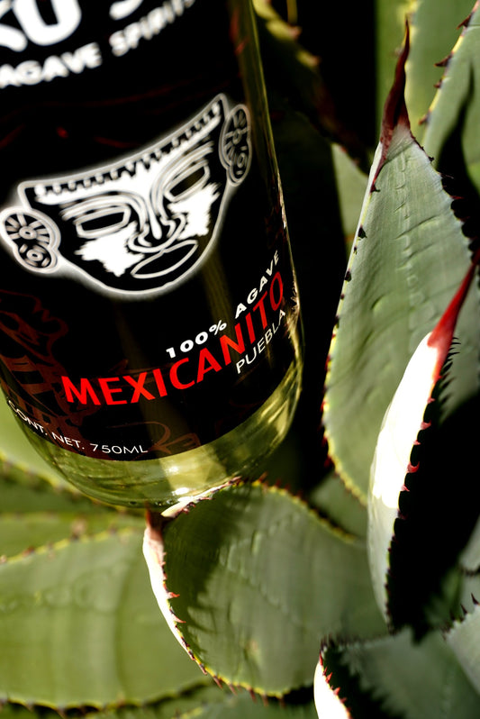 Yuku Savi - Mexicanito Silvestre