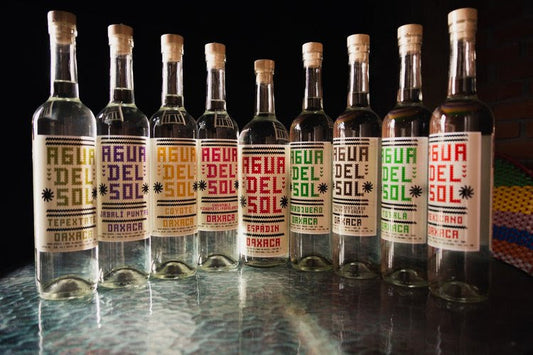 Agua del Sol: Chapter 2