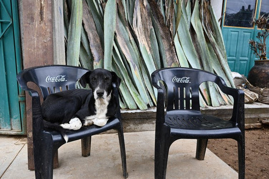 The Art of Importing