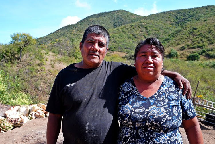 Drink with Purpose: Supporting Independent Agave Spirits