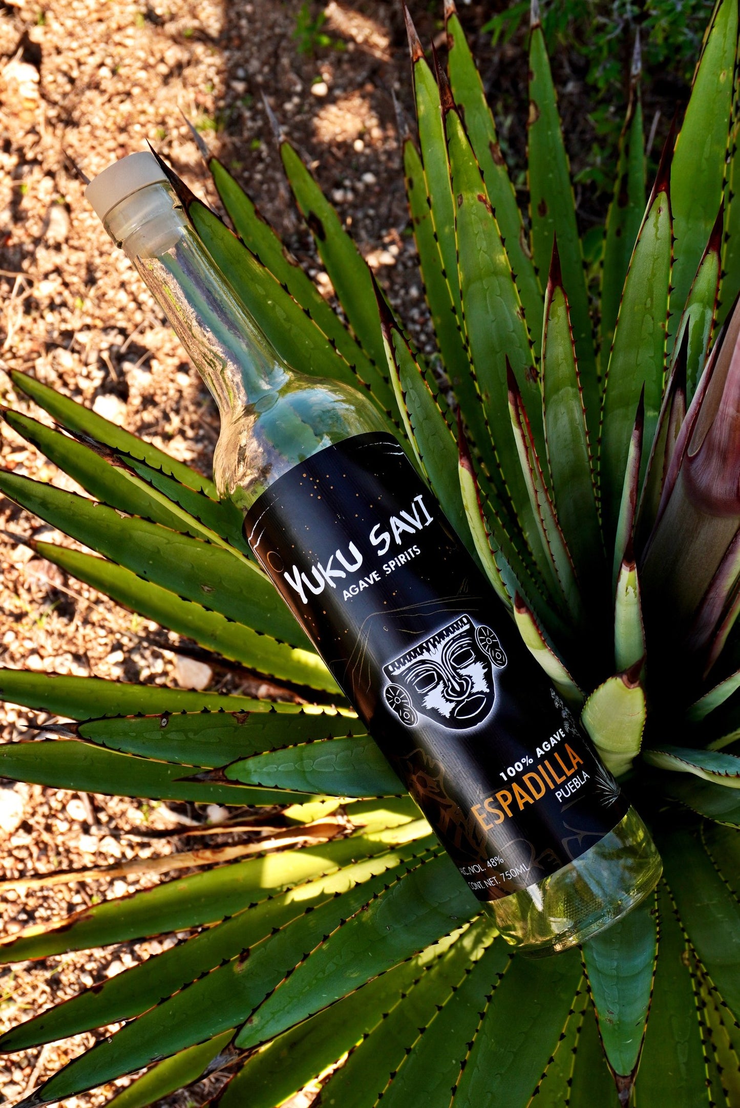 Yuku Savi - Espadilla Ancestral
