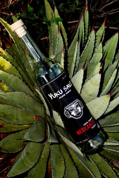 Yuku Savi - Mexicanito Silvestre bottle — small-batch mezcal from Cultura Maguey